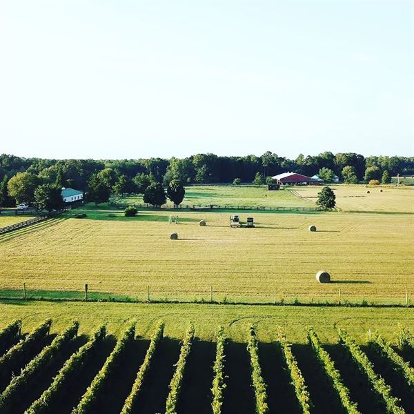 South Paddock Winery at Whitehall Farm