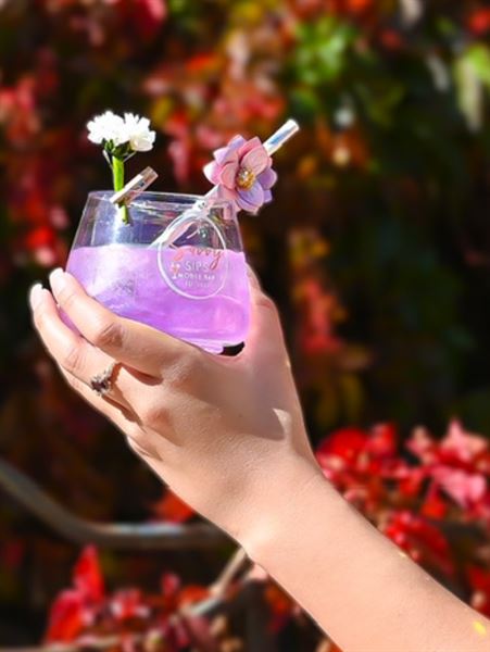 SAVVY SIPS MOBILE BAR