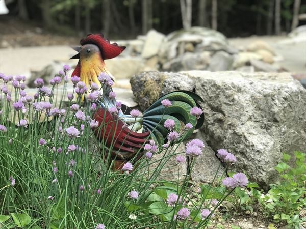 The Garden at Camp Hattie