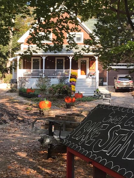 The Garden at Camp Hattie