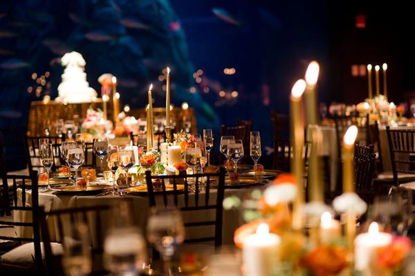 Adventure Aquarium Events & Catering