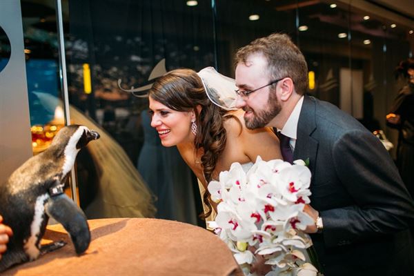 Adventure Aquarium Events & Catering