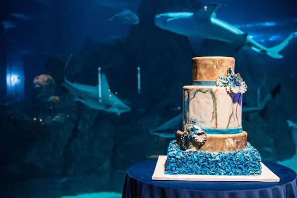 Adventure Aquarium Events & Catering