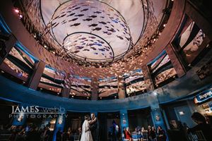 South Seas Exhibit Space