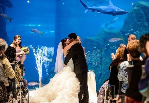 Adventure Aquarium Events & Catering