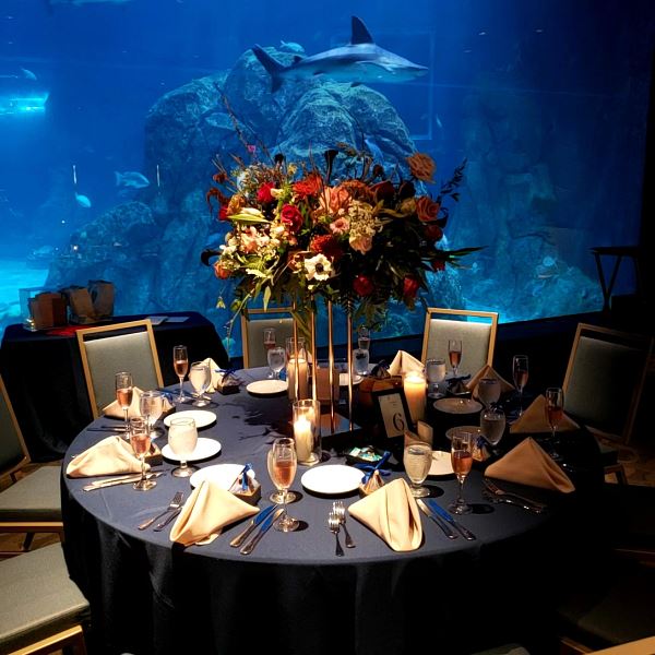 Adventure Aquarium Events & Catering