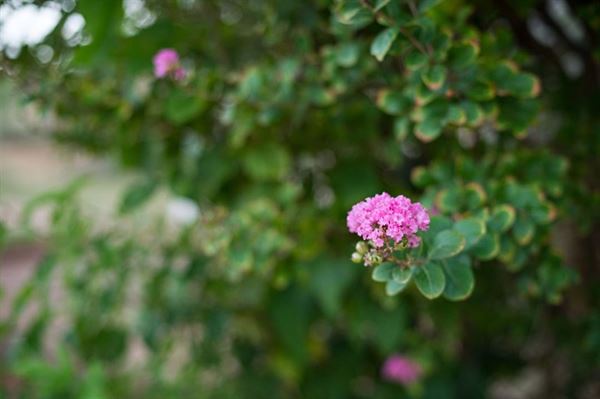 Sweetwater Country Club