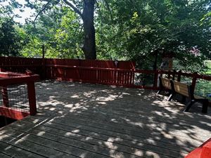 Macaque Viewing Deck