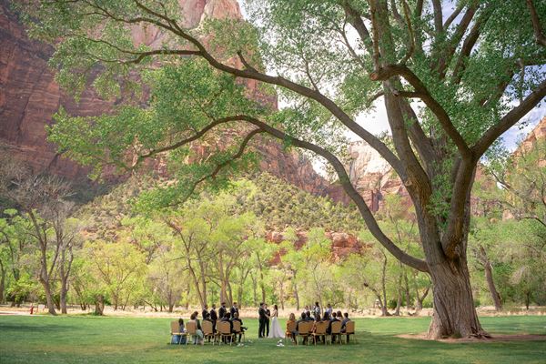 The Wild Within Us Wedding and Elopement Photography