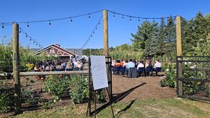 Salomon North Garden