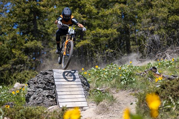 Wayne Parsons Photography