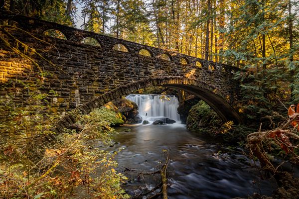 Wayne Parsons Photography