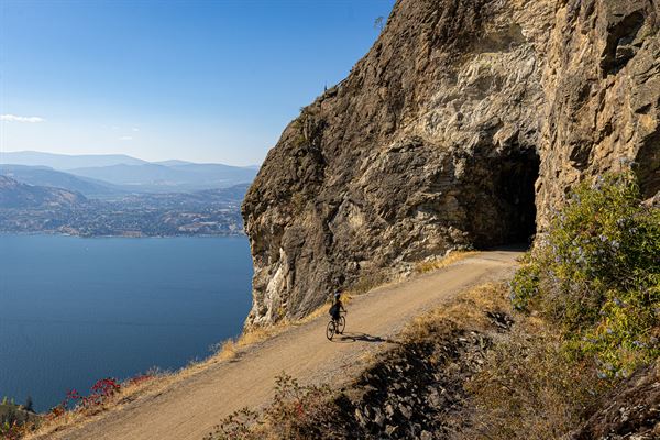 Wayne Parsons Photography