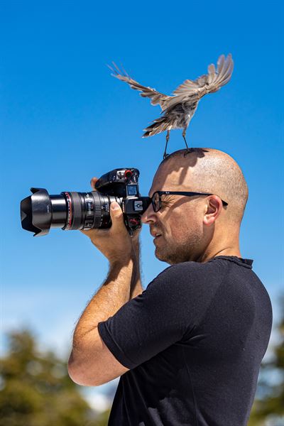 Wayne Parsons Photography