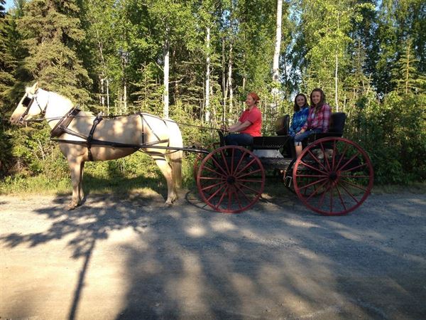 Diamond M Ranch Resort