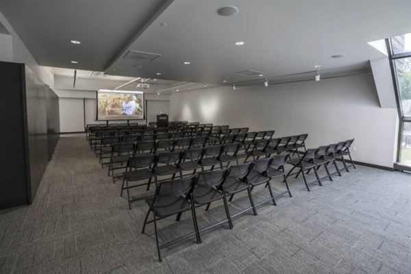 Saint Louis Art Museum