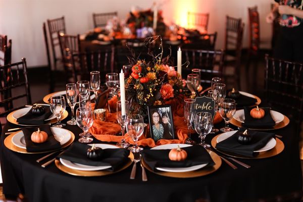 Where The Magic Begins