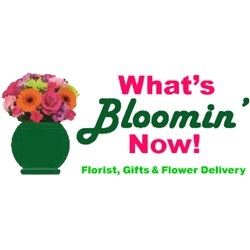 What's Bloomin' Now Florist, Gifts & Flower Delivery