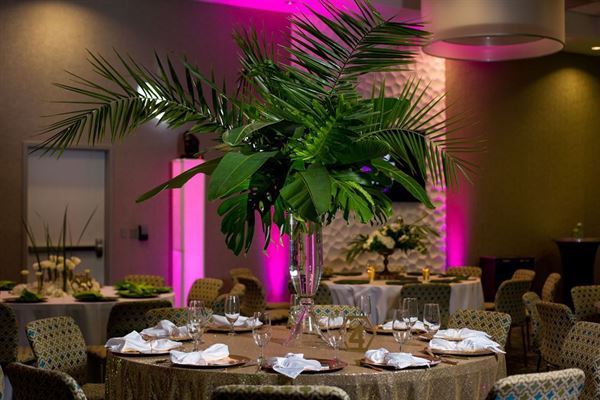 Aloft Jacksonville Tapestry Park