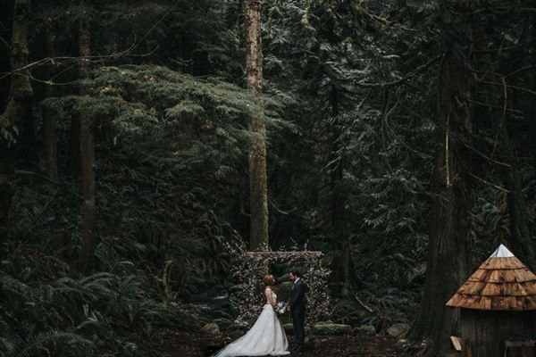 Cedar Haven Weddings