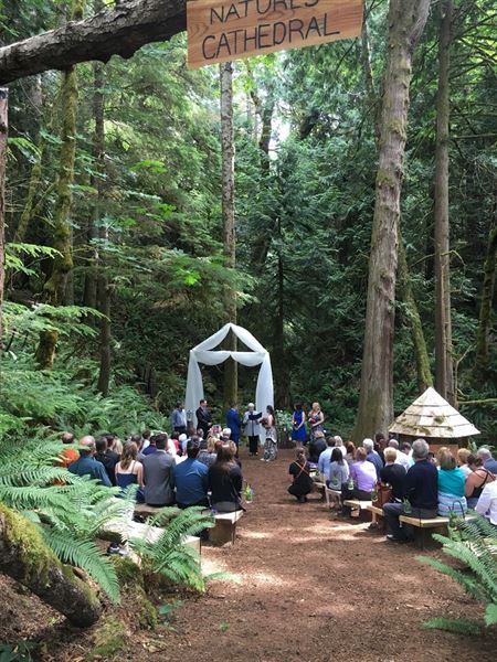 Cedar Haven Weddings