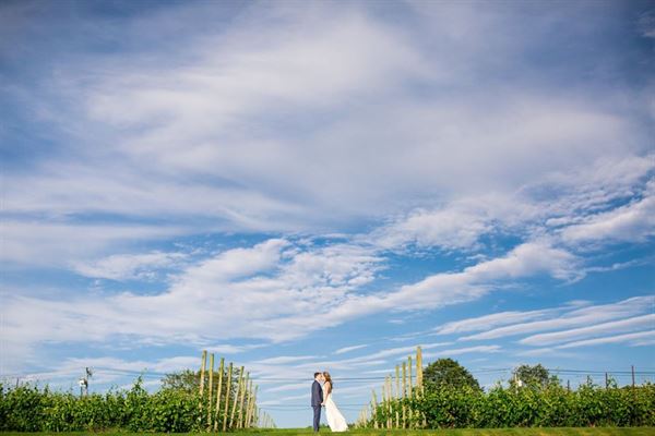 Preston Ridge Vineyard