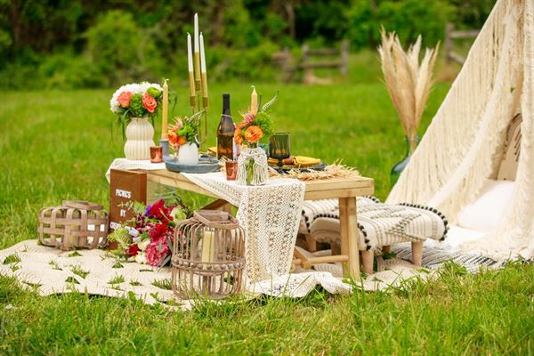 Paradocx Vineyard LLC