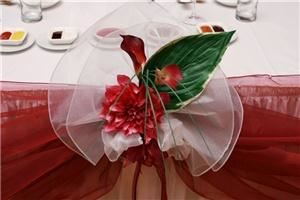 Lucy's Creative Designs Ltd.