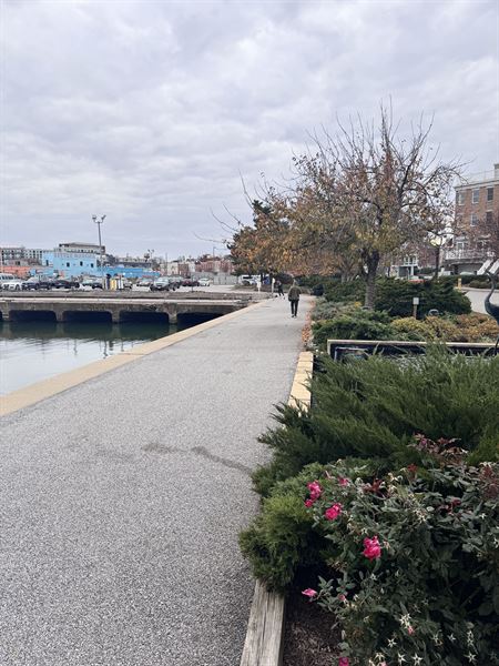 Venue XIV at Harborview