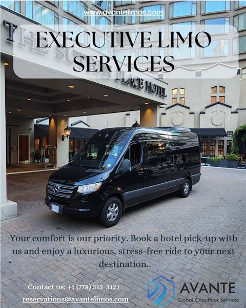 Avante Global Chauffeur Services