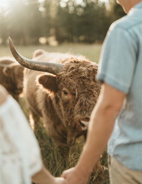 Alberton Orchards Wedding Venue