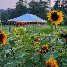 VIP Tent at Full Harvest Festival