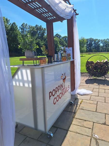 Poppin Cocktails - Bartending Services