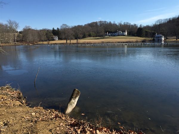 Private lake property