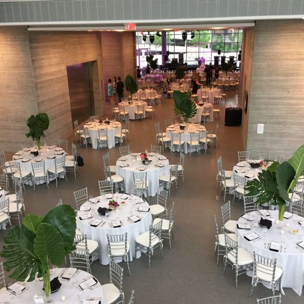 The Speed Art Museum