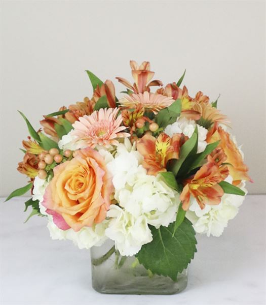 Berlin Blossom Shoppe