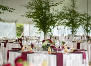 Tented Events