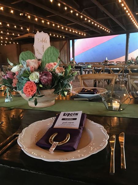 Fort McDowell Adventures