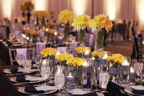 Hilton McLean Tysons Corner