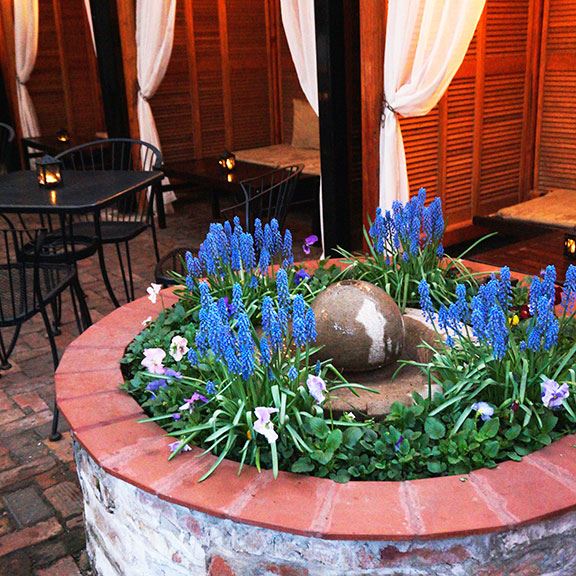 Volo Restaurant Wine Bar