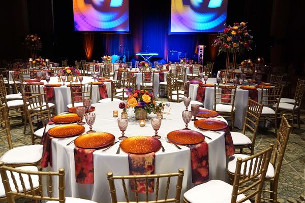 Alui Social - Boston