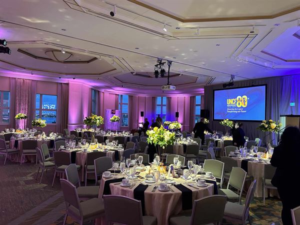 Alui Social - Boston