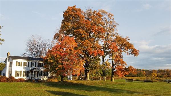 Osmica at Spring Trail Farm