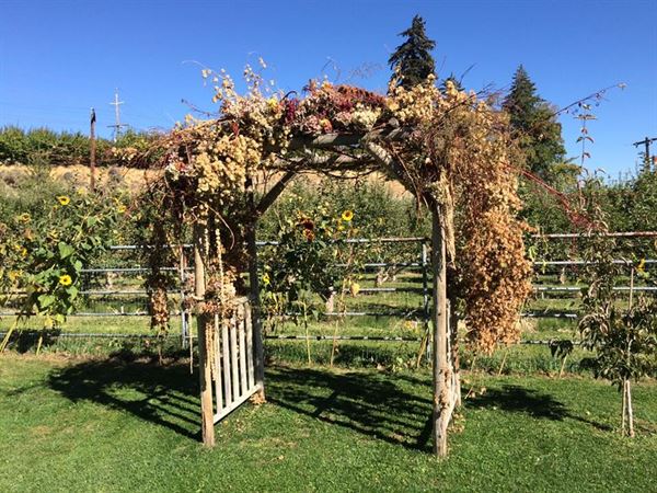 The Sunshine Ranch Wedding & Event Venue