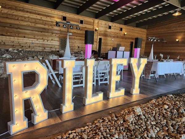 Sights and Sounds Music Entertainment