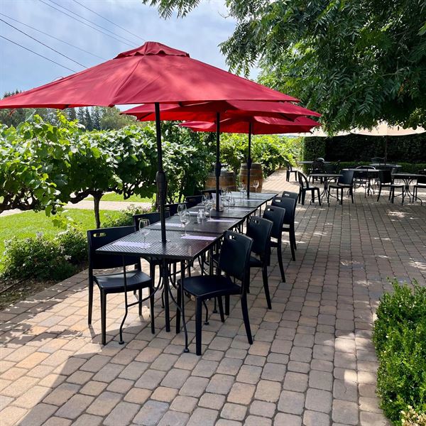 Scribner Bend Vineyards