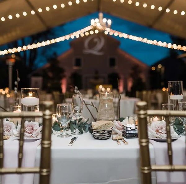 Scribner Bend Vineyards