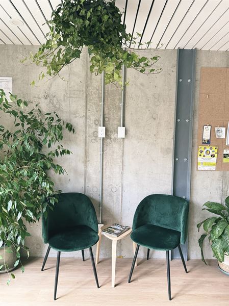 Komorebi Cafe and Healing Art Studio