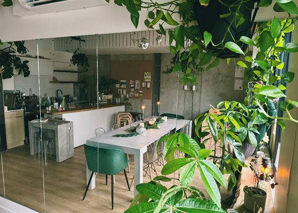 Komorebi Cafe and Healing Art Studio