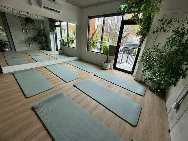 Komorebi Cafe and Healing Art Studio